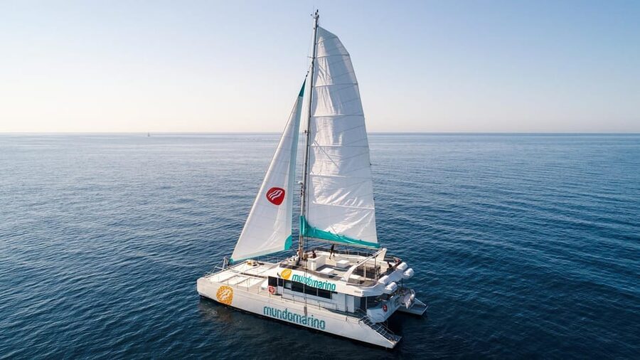 Malaga: Sailing Catamaran with Swimming and Paella Lunch - Should you book this Malaga catamaran with swimming and paella?