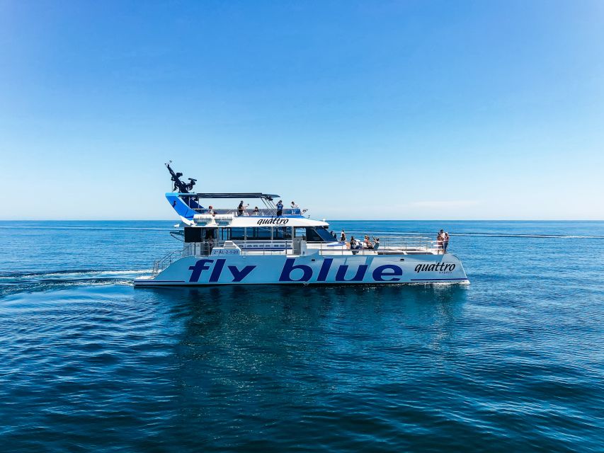 Málaga: Scenic Catamaran Cruise - Swimming and Jumping Off: Fun When Offered, Not Guaranteed Always