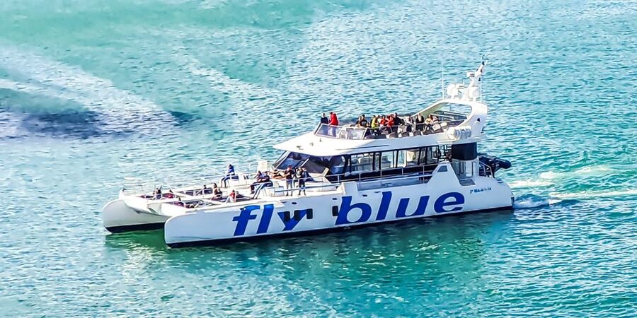 Málaga: Scenic Catamaran Cruise - Price and Value: Why About $15 Can Actually Make Sense