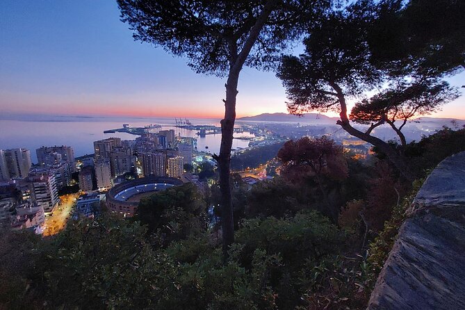 Málaga Sunset & Night Tour by Electric Car - Fishing neighborhoods and street life: more than just monuments