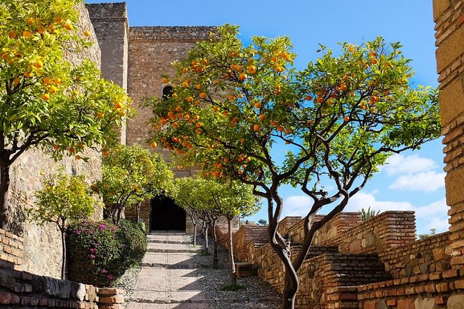 Malaga Super Tour - Plaza de la Merced: The Smart Place to Begin