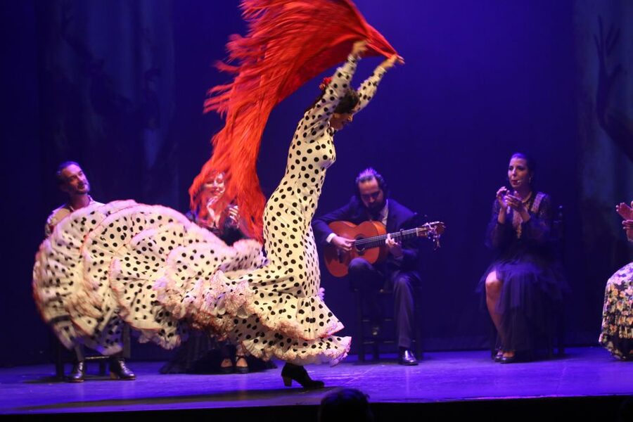 Malaga: Teatro Flamenco Malaga Live Flamenco Show - The Venue Feel: Small, Atmospheric, and Built for Listening