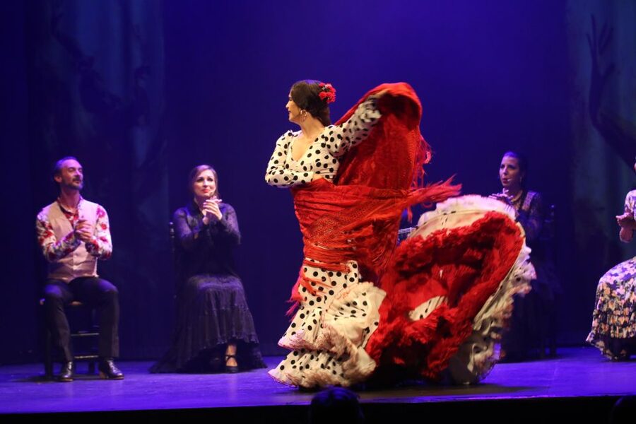 Malaga: Teatro Flamenco Malaga Live Flamenco Show - How to Plan Dinner in Malaga: Before or After, Simple Either Way