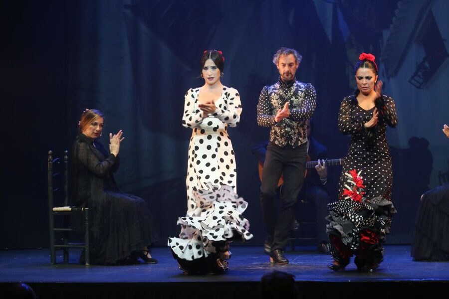 Malaga: Teatro Flamenco Malaga Live Flamenco Show - Who This Flamenco Show Is Perfect For