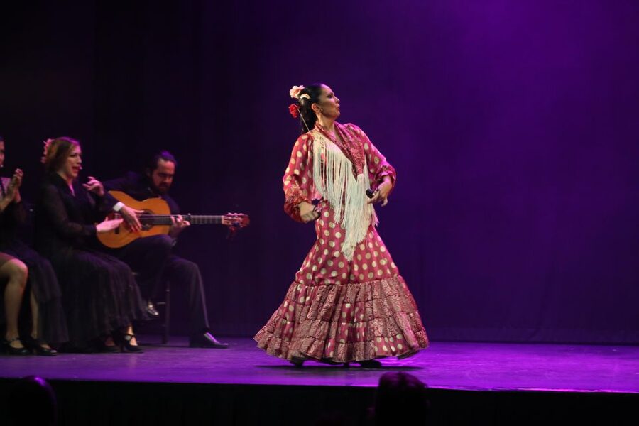 Malaga: Teatro Flamenco Malaga Live Flamenco Show - Arrival at Theatro Club Málaga: Entry, Timing, and Seating Reality
