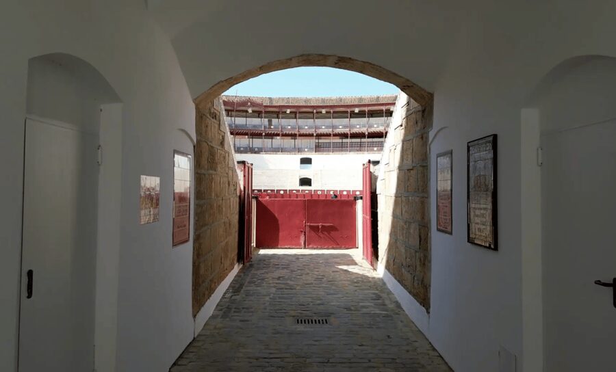 Malaga: Tour of Malagueta Bullring & Immersive Exhibition - Key highlights you will actually notice