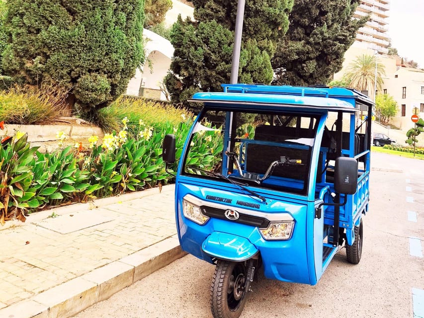 Malaga: Tuk tuk tour - English Cemetery and central calm