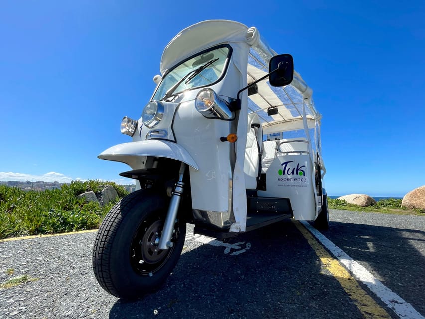 Malaga: VIP private Tuk Tuk tour - Comfort, weather, and what you should bring