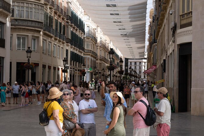 Malaga Walking Tour, Roman Theatre and Alcazaba with Tickets Included - Málaga Cathedral, Explained Without Entering