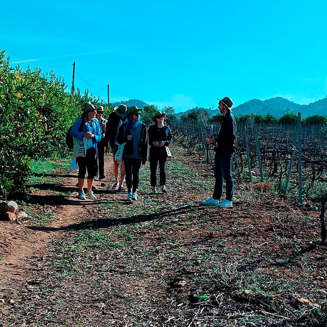 Malaga: White Village, Vineyard, and Wine Tasting Wine Tour - A Scenic Pause Outside Town for Better Photos