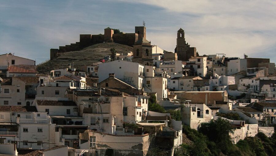 Malaga: White Village, Vineyard, and Wine Tasting Wine Tour - Price and Value: Why This Costs $106 and What You Get Back