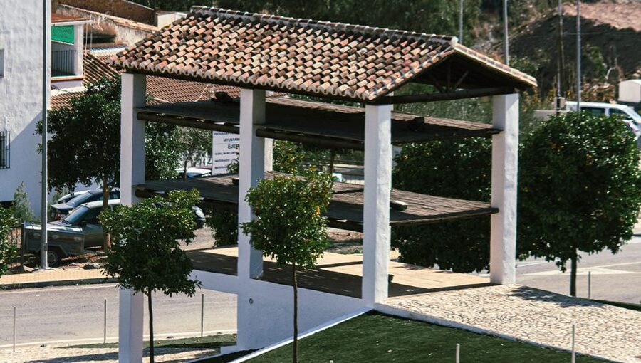 Malaga: White Village, Vineyard, and Wine Tasting Wine Tour - Best for Families, Wine Beginners, and People Who Like Real Places