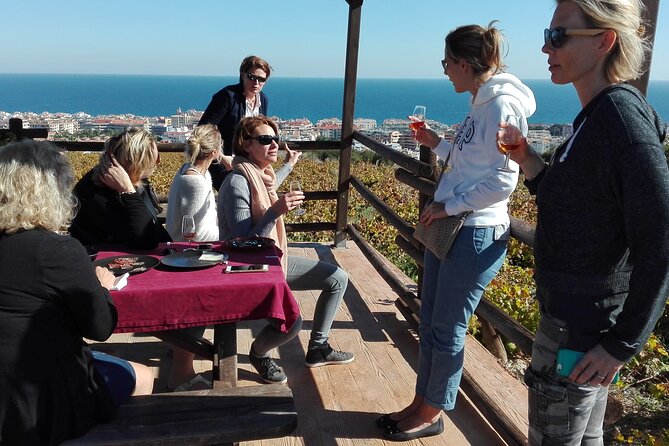 Manilva Oceanfront Wine Experience in the Marbella Area - Key Things to Know Before You Go