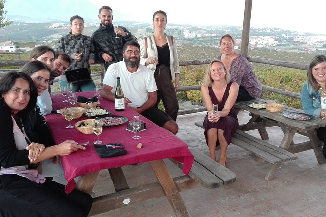 Manilva Oceanfront Wine Experience in the Marbella Area - CIVIMA: The Viticulture Museum Stop That Makes the Wine Easier to Understand