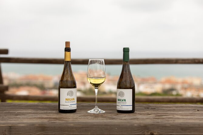 Manilva Oceanfront Wine Experience in the Marbella Area - Price and Logistics: What You Pay for, and What You Need to Handle Yourself