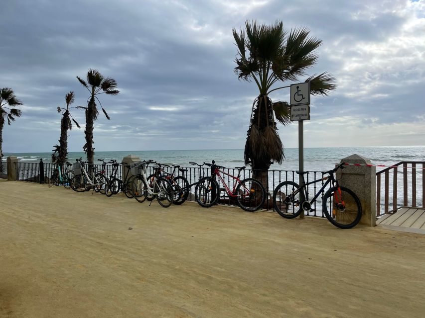 Marbella: 3-Hour Guided Bicycle Tour - Timing, breaks, and coffee stops that actually help