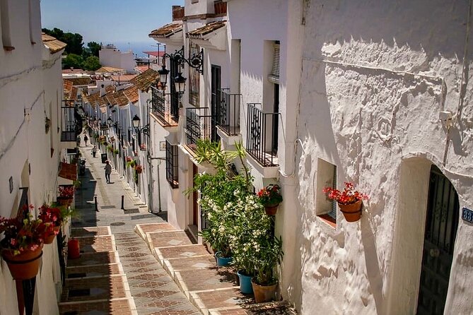 Marbella and Mijas Day Tour and Puerto Banus and Benalmadena - Price and what you actually get for $71.04