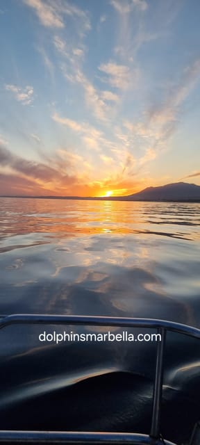 Marbella: Dolphin-Watching Sailboat Trip with Drinks, Snacks - Setting Off From Port Bajadilla, and Why Timing Matters