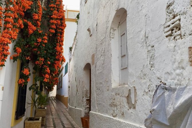 Marbella Old Town group tour with a True Local - Plaza de los Naranjos: orange trees, Castilian design, and where the tour ends
