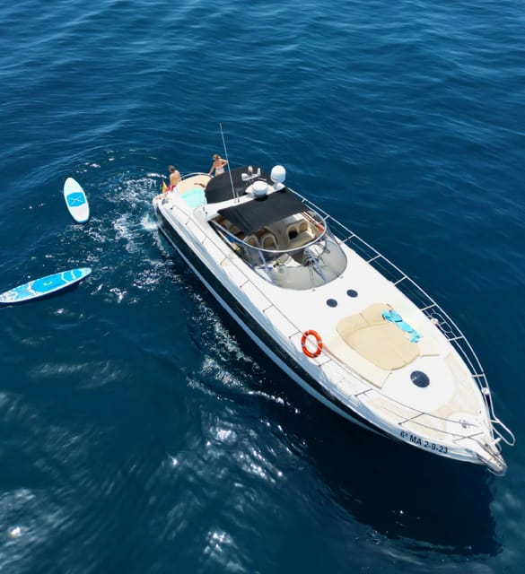 Marbella: Private Cruise in Luxury Yacht - Dolphins: What You Can Control, What You Cannot