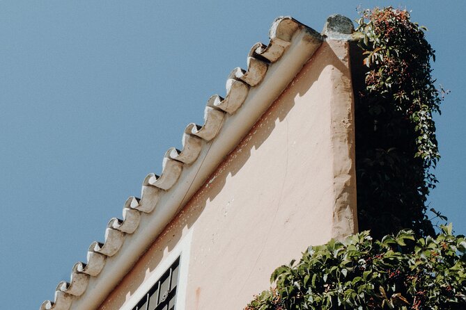 Marbella Private Walking Tour with a Local - Nightlife and Beach Time, Without the Hard Sell