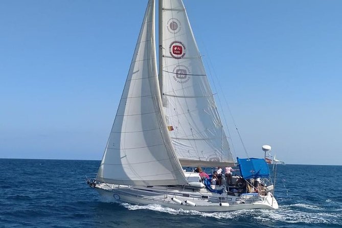 Marbella Sailing Experience - Where you start: Marina La Bajadilla and the Marbella-water vibe