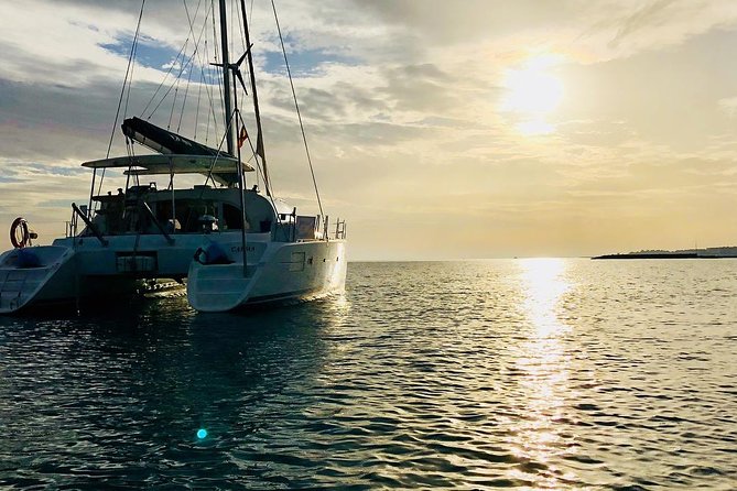 Marbella Small Group Catamaran with Dolphin Watching - Dolphin watching: what “better chances” really means