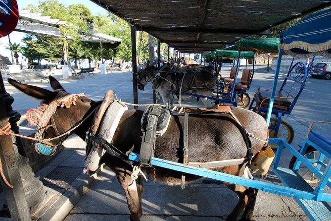 Mijas Private Walking Tour - Price and value: what you’re paying for
