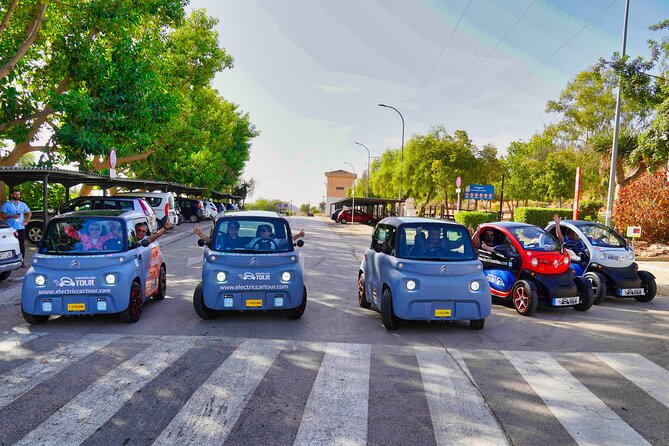 Montes de Málaga Gastronomic Tour by Electric Car - Castillo de Gibralfaro: the main lookout stop