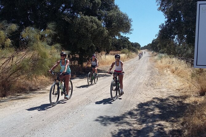 MTB (Self-Guided) Setenil de las Bodegas - 30km Easy - Ronda to Setenil MTB: why this route hits the sweet spot