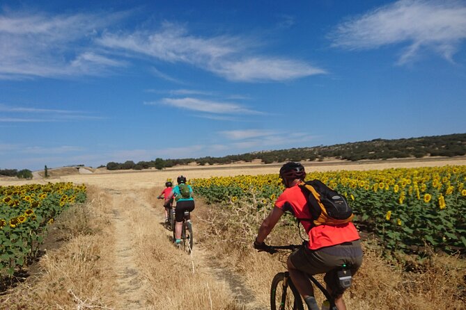 MTB (Self-Guided) Setenil de las Bodegas - 30km Easy - Logistics that matter: where to start and when