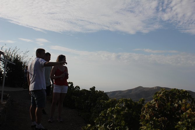 Muscat Raisin Route - Small group with lunch included - A day built around Muscatel raisins in La Axarquía