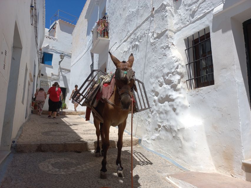 Nerja, Frigiliana & El Acebuchal: Full-Day Semi-Private Tour - Frigiliana, the Villa de las Tres Culturas: white streets plus breathing room