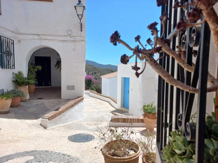 Nerja, Frigiliana & El Acebuchal: Full-Day Semi-Private Tour - Guides, small-group energy, and how the pace feels