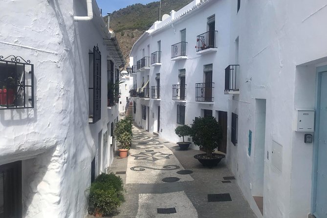 Nerja & Frigiliana Private Day Trip from Malaga or Marbella - Price value: is $368.46 per person worth it?