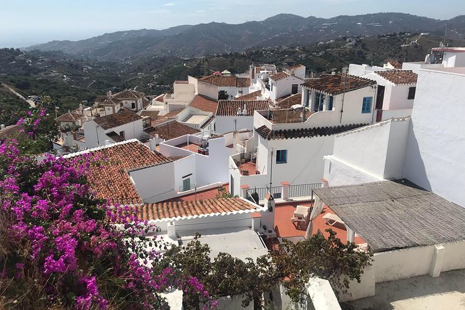 Nerja & Frigiliana Private Day Trip from Malaga or Marbella - Who this private tour is best for