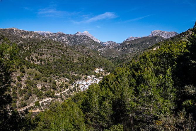 Nerja (Pueblo) + Frigiliana & El Acebuchal - Semi-Private - El Acebuchal: The Recovered Abandoned Village Moment