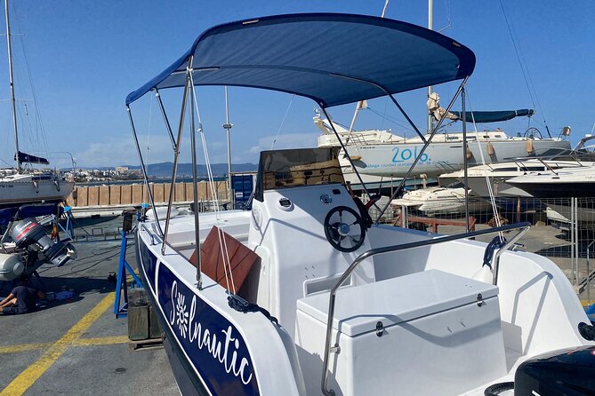 New 2025!! Unlicensed boat for dolphin watching - Dolphin Watching: What You Can Control, What You Cannot