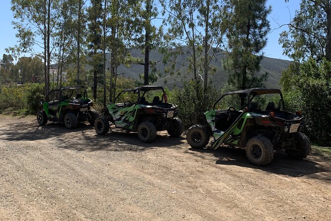 Off-road buggy tour Sierra de Mijas buggy 2h - Driving a Two-Seater Buggy, Passenger Vibes, and License Rules