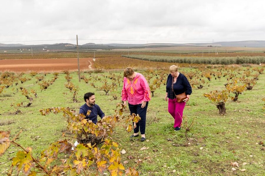 OLIVE OIL & WINE TOUR Organic fields - 5 Wines + 3Olive Oils - How the pacing works in your 5.5 hours