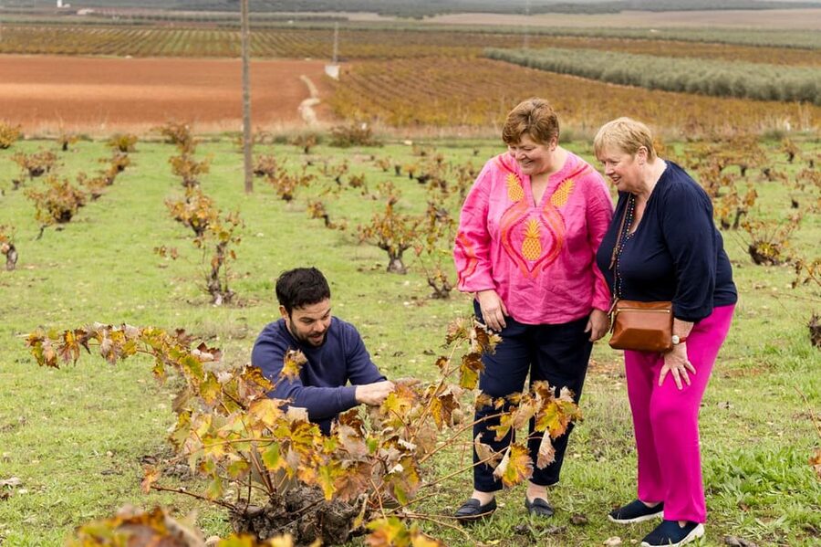 OLIVE OIL & WINE TOUR Organic fields - 5 Wines + 3Olive Oils - The human side: why this tour feels different