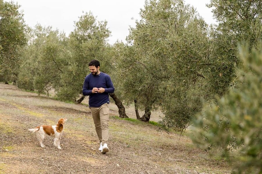 OLIVE OIL & WINE TOUR Organic fields - 5 Wines + 3Olive Oils - Pesticide-free strolls through vines, almonds, and 250-year-old olives