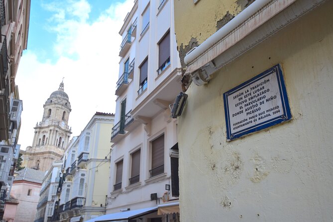 Picasso roots Private Walking Tour in Central Malaga - Who this tour suits best, and who should adjust expectations