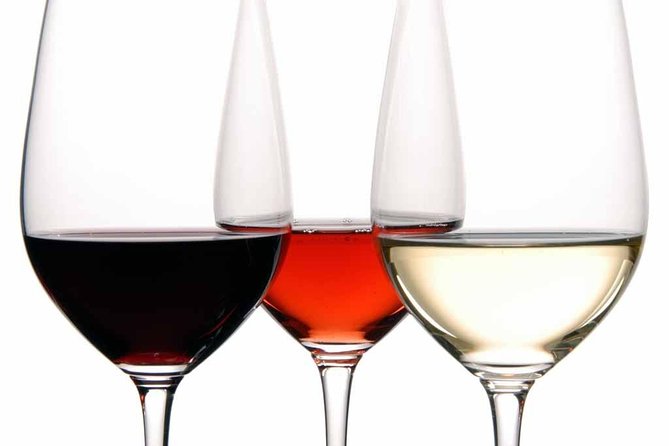 PREMIUM TAPAS TOUR: Tapas, Paella and Winery - Wine Pairings That Teach You What to Order Later
