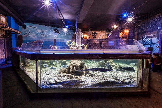 Premium Ticket Sea Life Benalmádena - What I like most about the experience