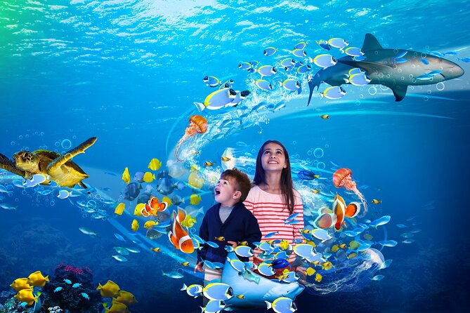 Premium Ticket Sea Life Benalmádena - Meet the animals that make it worth the ticket price