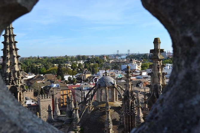 Private 12-Hour Tour to Sevilla from Malaga with Hotel pick up - Entering Seville Cathedral without wasting your Seville time