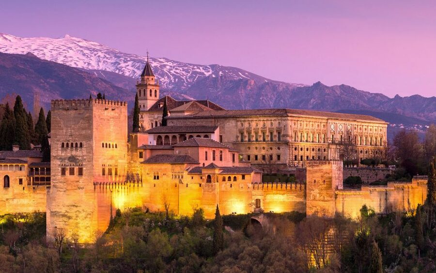 Private Alhambra Tour From Malaga & Surrounds - Nasrid Palaces circuit: Mexuar, Comares, and the Lions courtyard