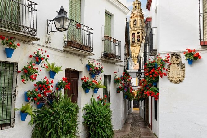 Private Cordoba & Seville Tour with a Finale Horse Carriage Ride - Getting From Cordoba to Seville: Use the Transition Time