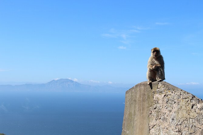 Private Day Tour in Gibraltar and Tangier, Morocco from Malaga - The real issue: this is a highlights-only, rushed day